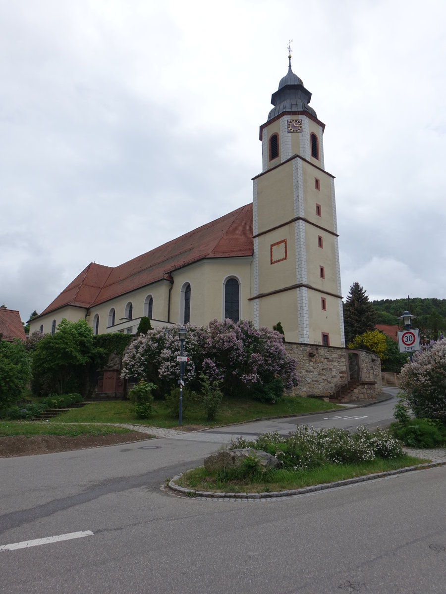 Dettingen bei Horb, kath. Pfarrkirche St. Peter, erbaut von 1739 bis 1742 von Pater Bernhard von Fleckenstein (10.05.2018)