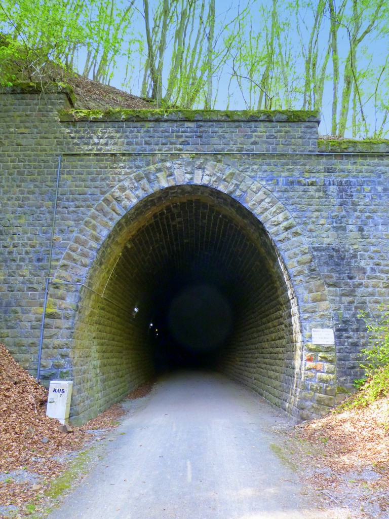 Deutschland, Rheinland-Pfalz, Fritz Wunderlich Radweg, Tunnel (Lnge: 190m) zwischen Ruthweiler und Thallichtenberg im Landkreis Kusel. 16.04.2014