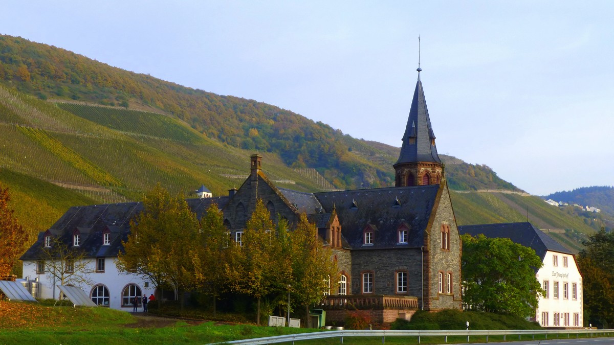 Deutschland, Rheinland-Pfalz, Landkreis Bernkastel-Wittlich, Graach an der Mosel. 31.10.2014