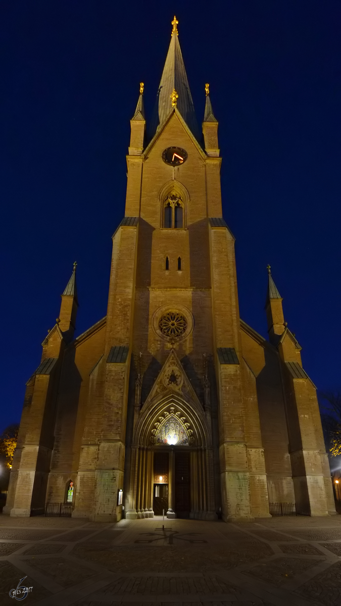 Die Domkirche von Linkping in der Nacht. (Oktober 2011)
