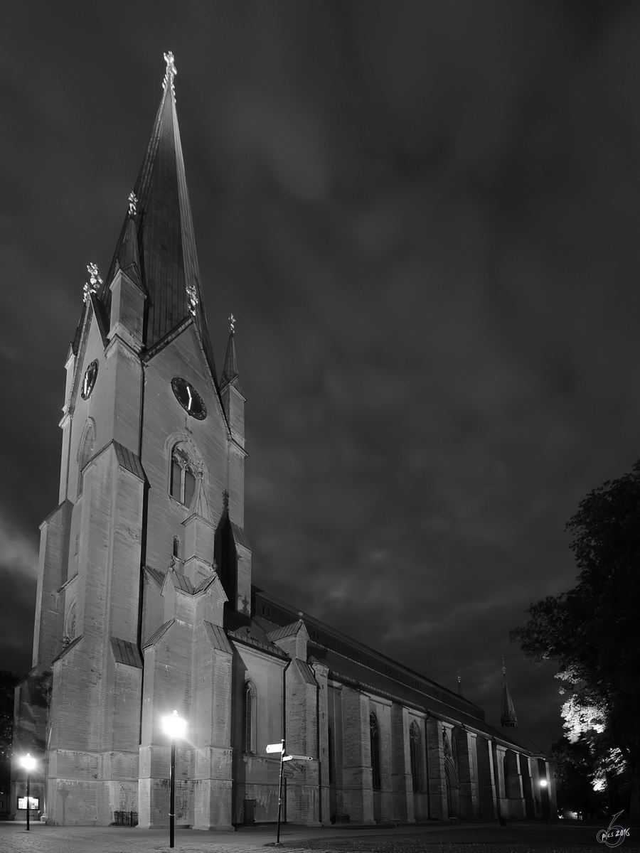 Die Domkirche von Linkping in der Nacht. (Oktober 2011)