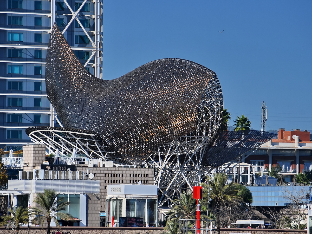 Die fischfrmige Skulptur  Pez Dorado  hat eine Lnge von 56 Metern und einer Hhe von 35 Metern. (Barcelona, November 2022) 