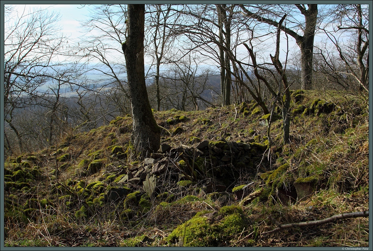 Die Groe Harzburg bei Ilfeld ist eine ehemalige mittelalterliche Burganlage, von der nur noch geringfgige Reste bis in unsere Tage erhalten geblieben sind. Sichtbar sind nur noch der Ringgraben und kleinste Mauerreste. ber die Geschichte der Burg ist wenig bekannt. Erwhnt wurde die Anlage im Jahr 1242, sie findet sich auch auf einer Karte von 1590 wieder. Die ca. 300 m westlich auf einem benachbarten Gipfel gelegene Kleine Harzburg, von der nur noch der Ringgraben erhalten ist, diente wahrscheinlich als Vorposten der Groen Harzburg. (Quelle: http://www.karstwanderweg.de/burgen/ilfeld/gr_harzburg/index.htm). Durch die exponierte Lage bietet sich ein guter Blick ber den Sdharz. 