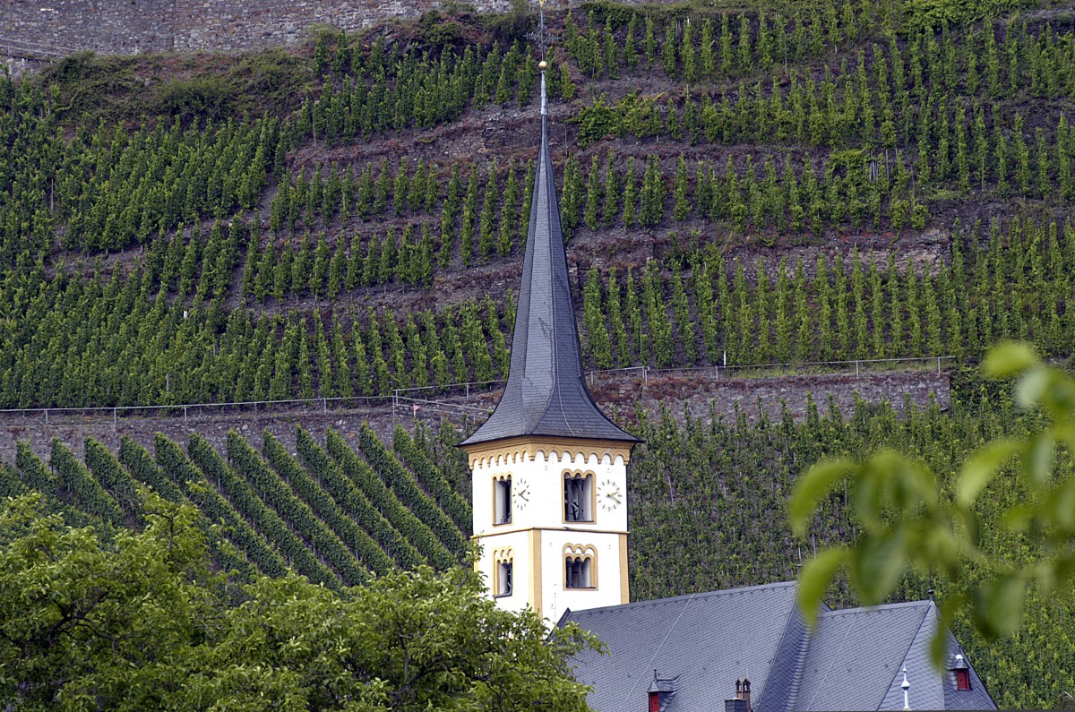 Die Kirche in Brehm an der Mosel mit Weinberge bzw. Weinbau im Hintergrund. Aufnahme: Juli 2007.