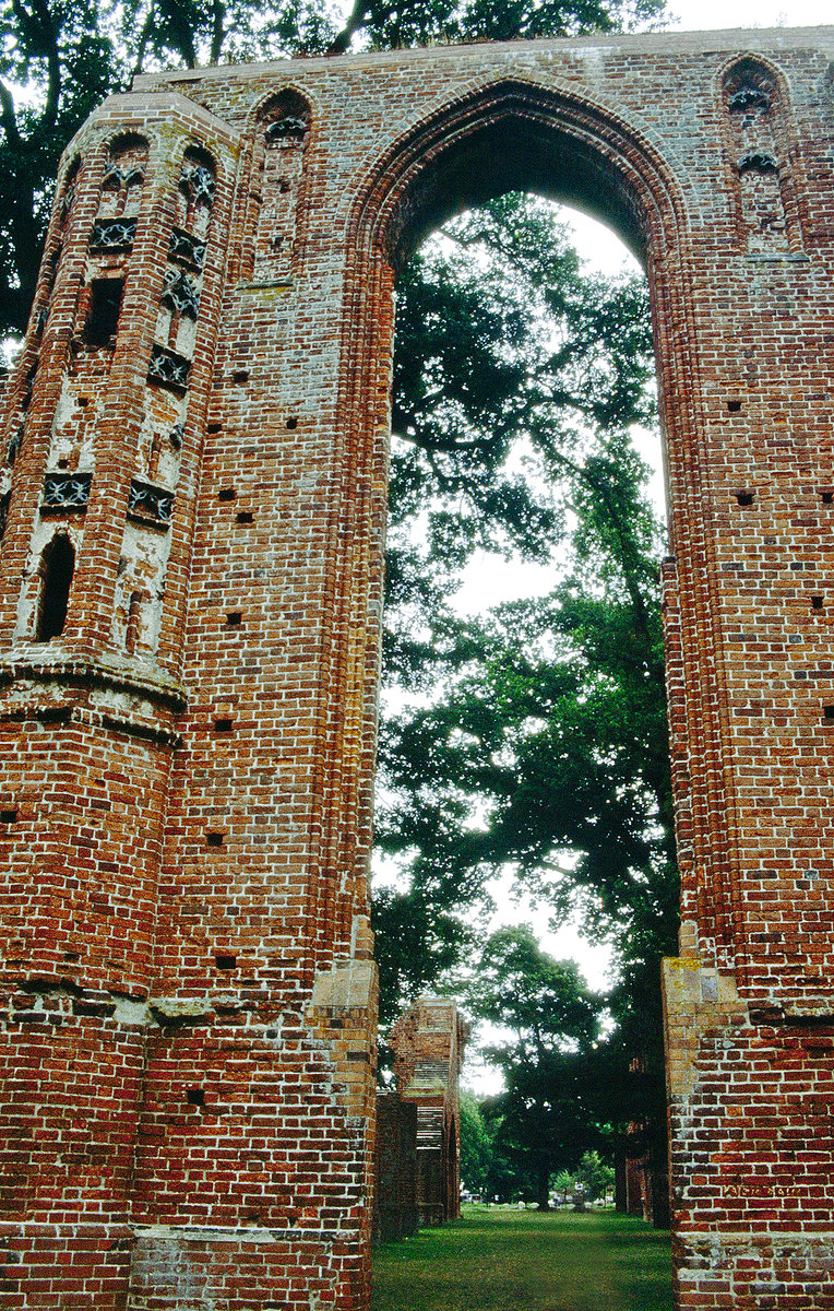 Die Klosterruine Elena in Greifswald. Westende der Kirche von Sd. Bild vom Dia. Aufnahme: August 2001.
