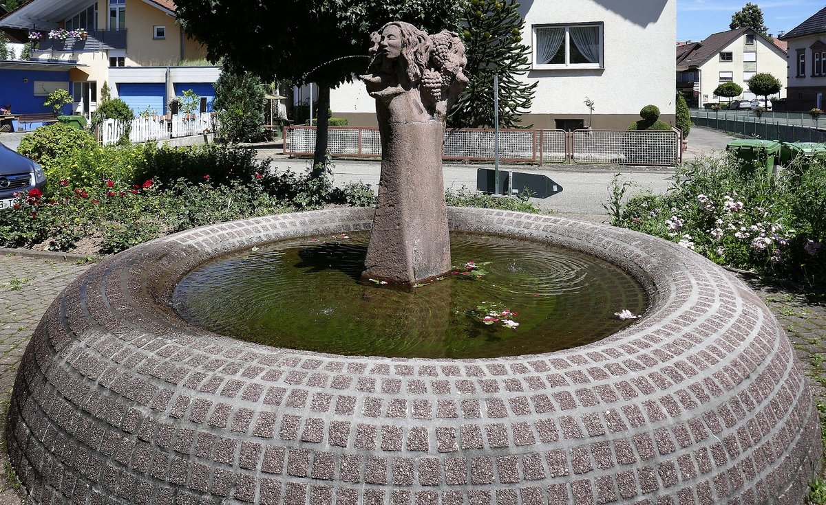 Drlinbach, der Dorfbrunnen, Juli 2020
