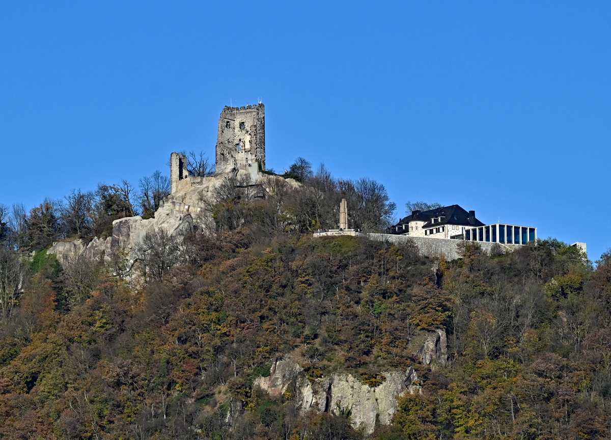 Drachenfels mit Burgruine im Siebengebirge - 09.11.2021