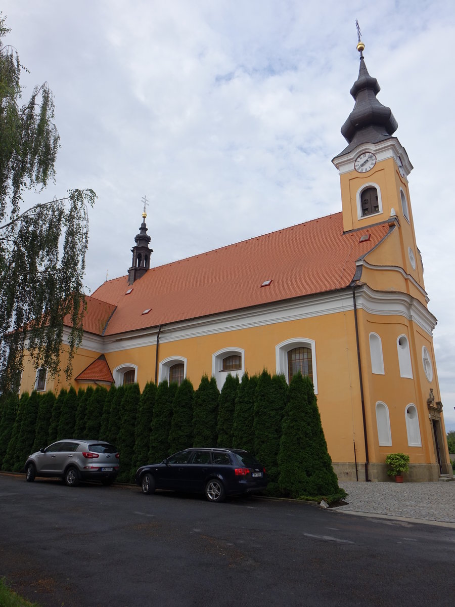 Drevohostice / Drewohostitz, sptbarocke Pfarrkirche St. Gallus, erbaut bis 1784 (03.08.2020)