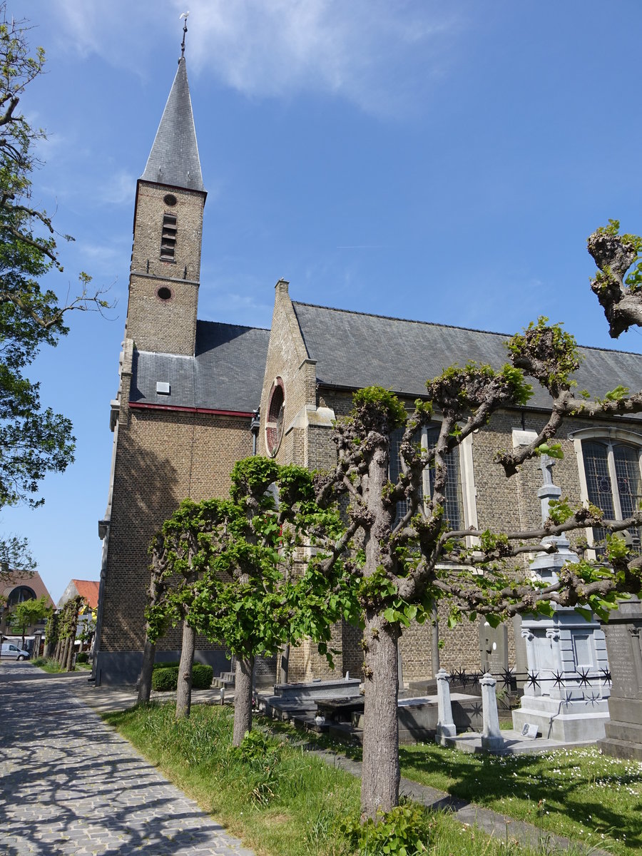 Dudzele, St. Pieter Kirche, erbaut im 12. Jahrhundert, Langhaus von 1871 (13.05.2016)