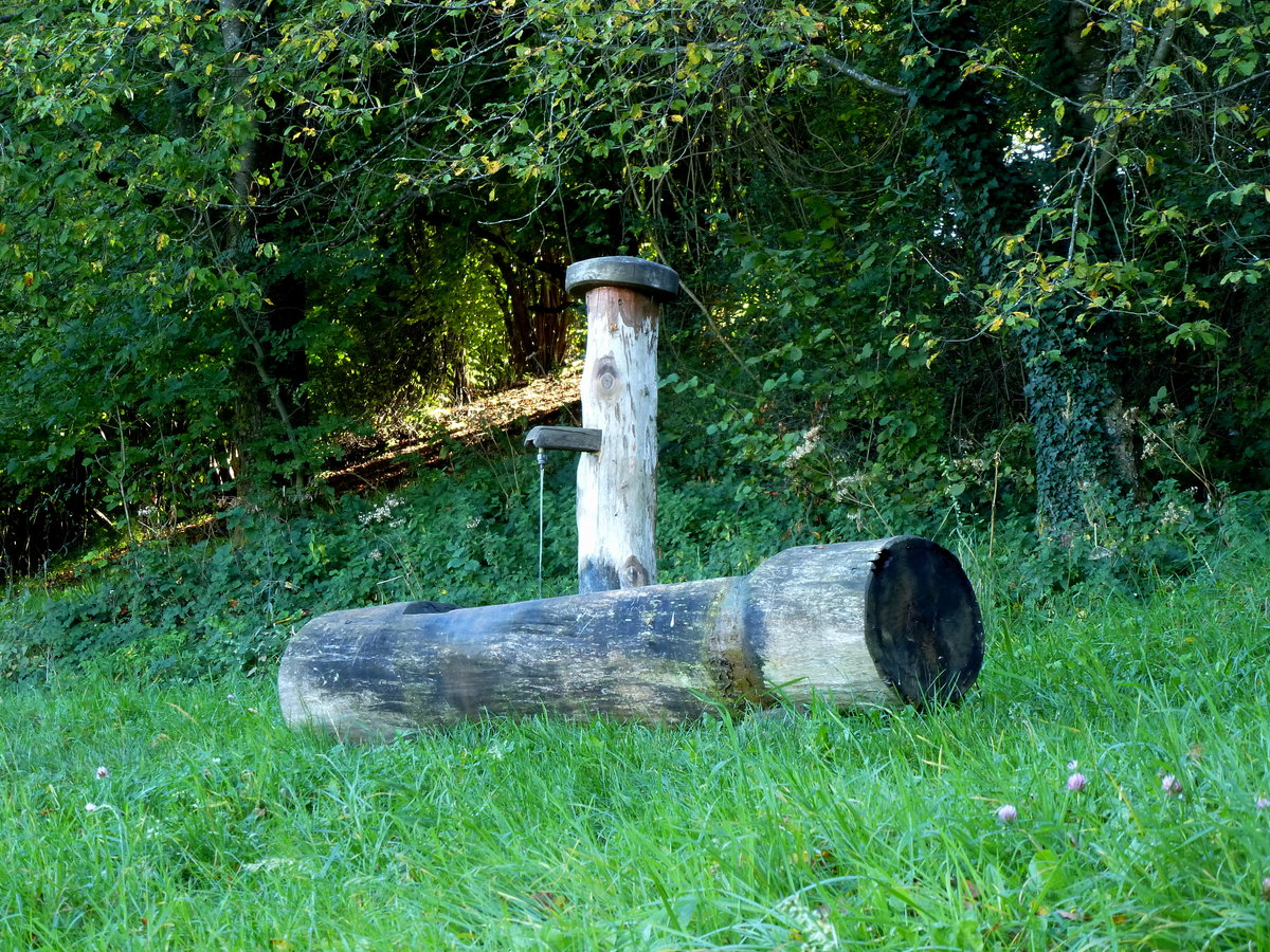 Ebringen, ein hlzerner Brunnen oberhalb des Ortes, Okt.2014