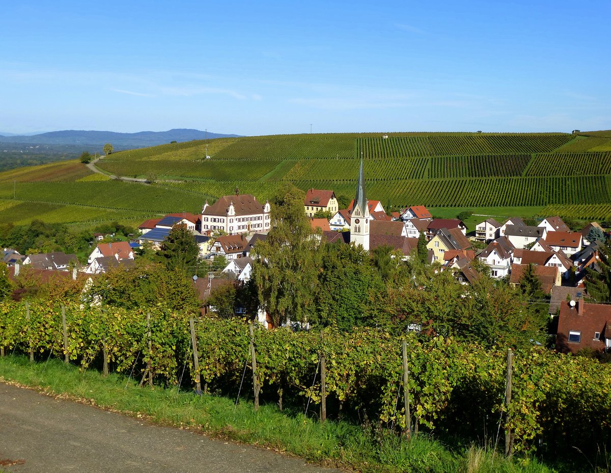 Ebringen, mitten in den Weinbergen des Markgrflerlandes liegt der Winzerort, Okt.2014
