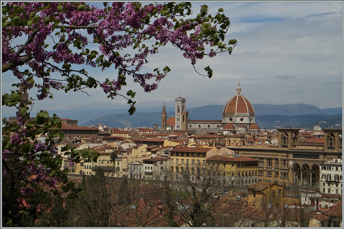 Ein Blick auf Firenze.
19. April 2015