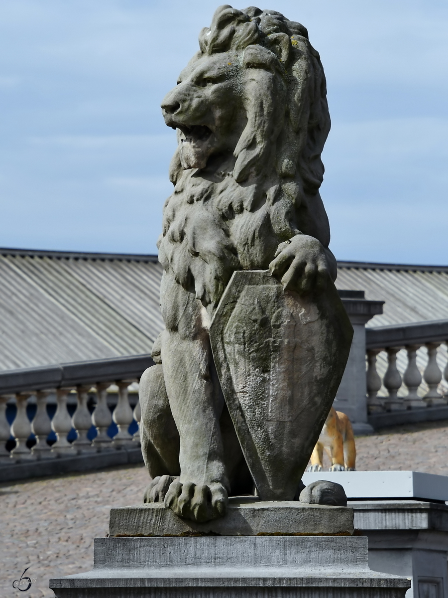 Ein stolzer Lwe bewacht die Stadt Antwerpen. (Juli 2018)