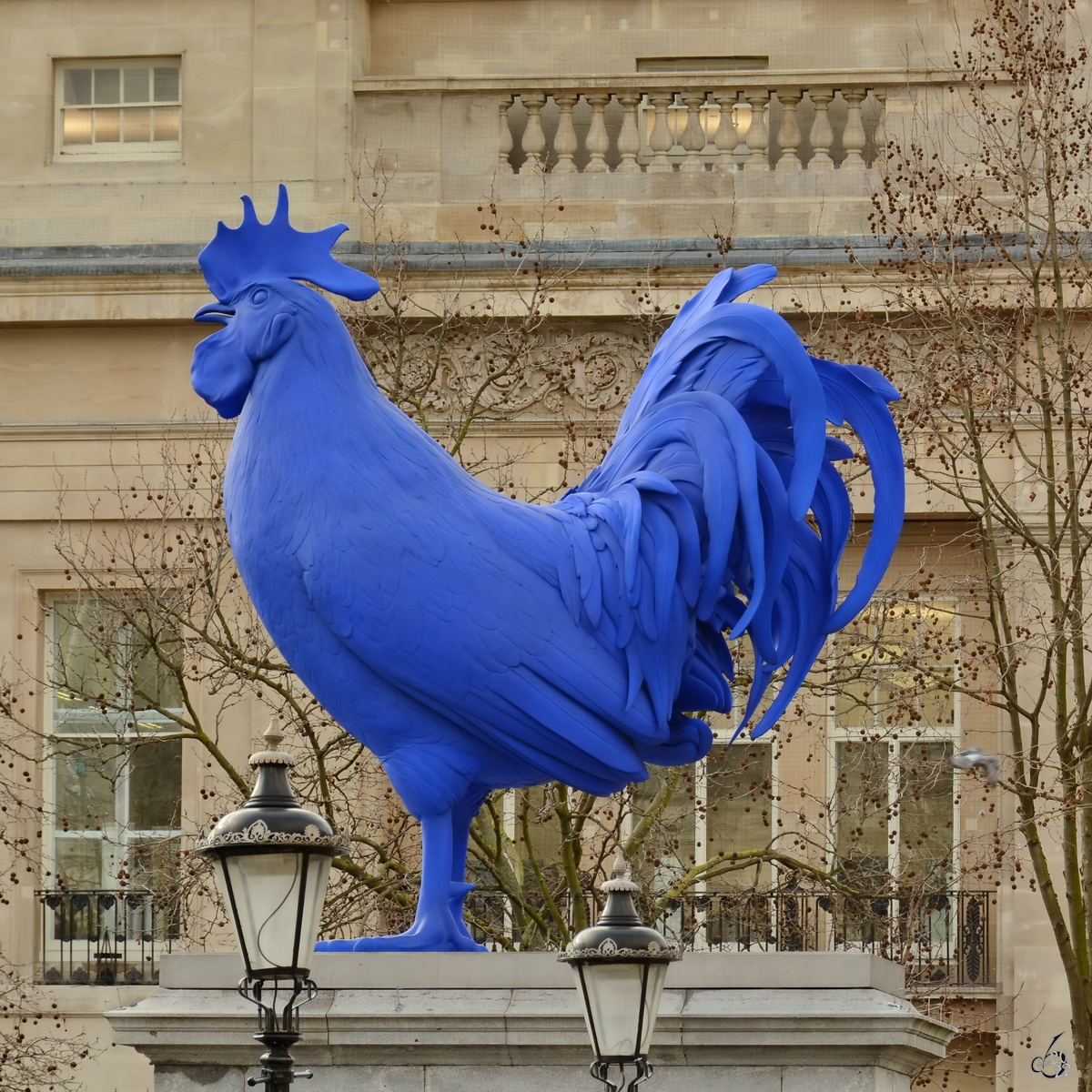 Ein berdimensionierter blauer Hahn auf dem Trafalgar Square in London. (Februar 2015)
