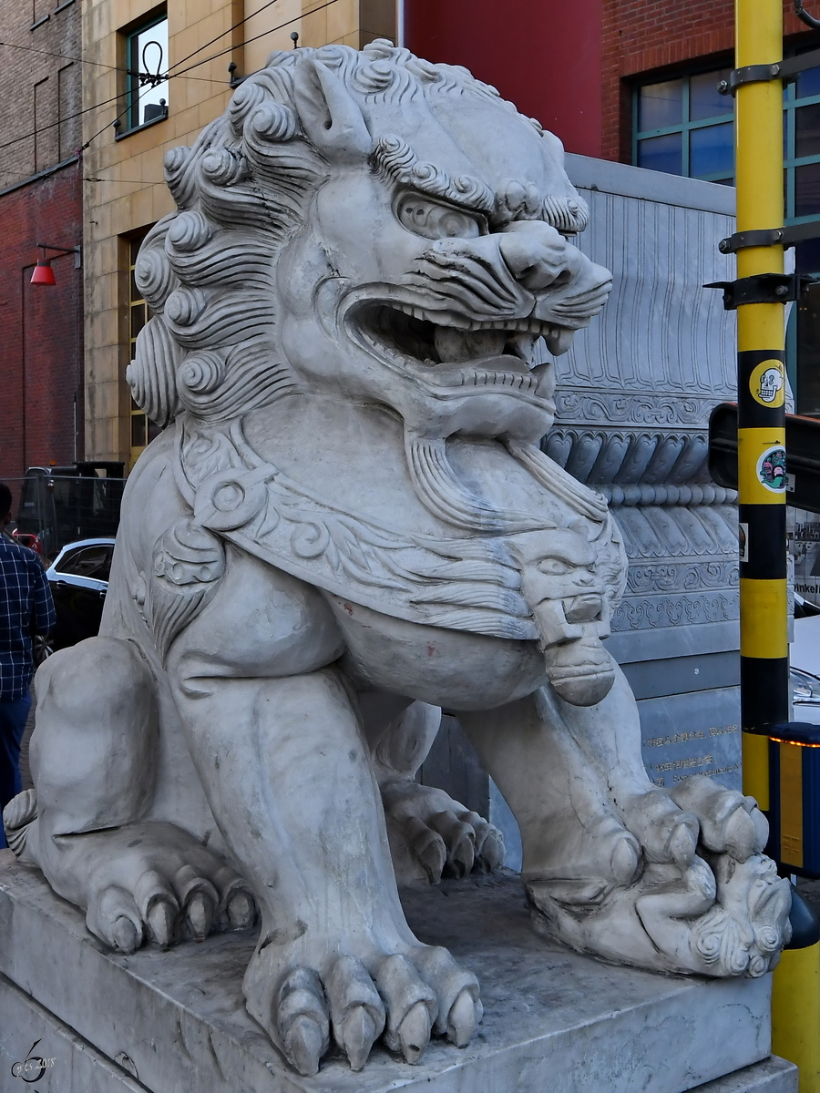 Einer der beiden Lwen, welche den Eingang zu Chinatown in Antwerpen bewachen. (Juli 2018)