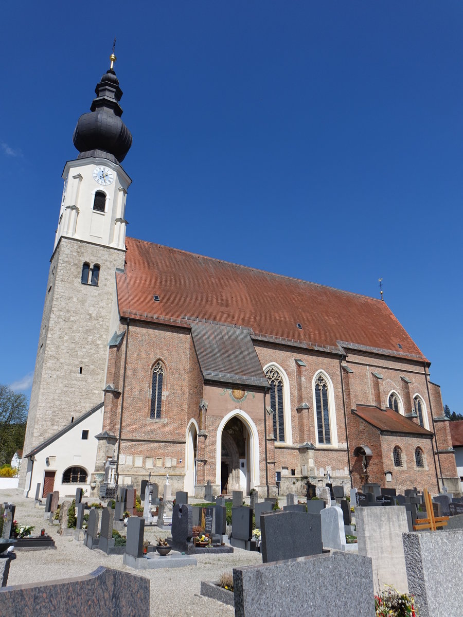 Erlach, Pfarrkirche Maria Himmelfahrt, einschiffiger Backsteinbau erbaut um 1500. Der sptromanische Turm aus Tuffsteinquadern mit sptgotischem achteckigen Aufbau besitzt eine barocke Laternenkuppel von 1740 (09.04.2017)