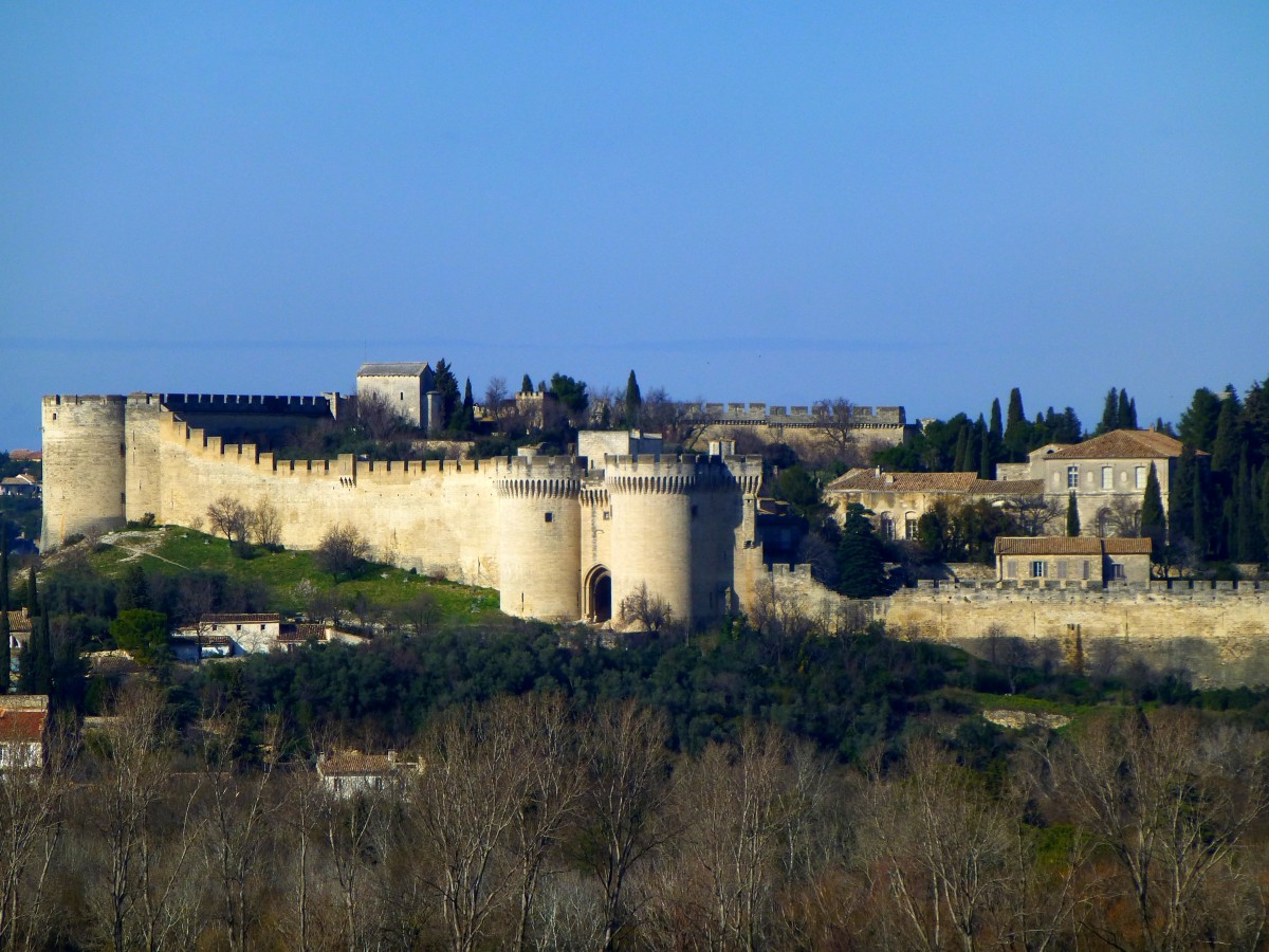 Fort Saint Andr in Villeneuve lez Avignon (Frankreich, Languedoc-Roussillon,Gard). Das Bild entstand in Avignon (Frankreich, PACA, Vaucluse), Rocher des DOMS, beim Papstpalast am 31.01.2014