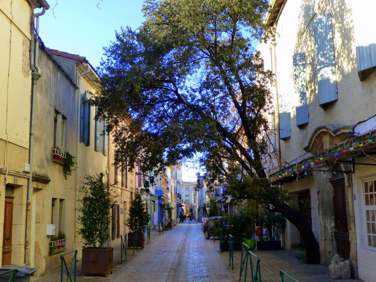 Frankreich, Languedoc, Gard, im Innern der befestigten Stadt Aigues-Mortes. 27.01.2014