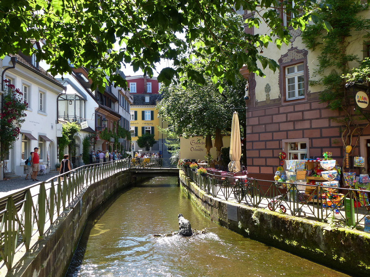 Freiburg, der Gewerbebach, von der Dreisam gespeist, durchfliet die Gerberau, ein ehemaliges Handwerkerviertel, Juni 2014