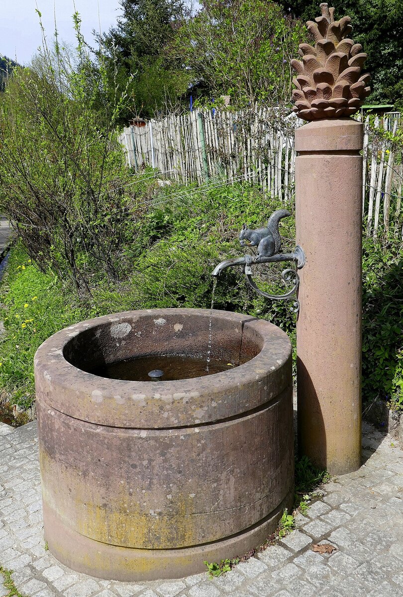 Freiburg-Gnterstal, Brunnen am Straenrand, April 2022