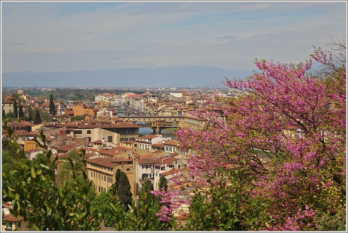 Frhling in Florenz.
(19.04.2015)