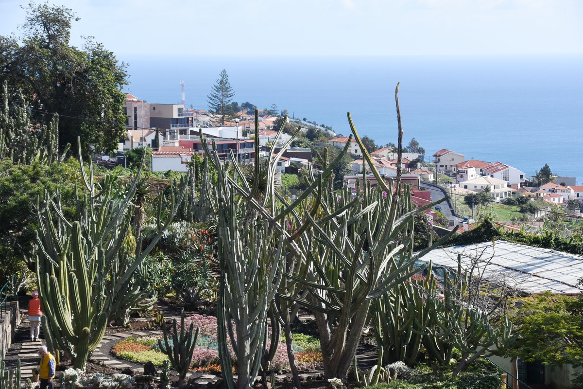 FUNCHAL (Concelho de Funchal), 01.02.2018, Blick ber einen Teil des Botanischen Gartens in Richtung Sdosten