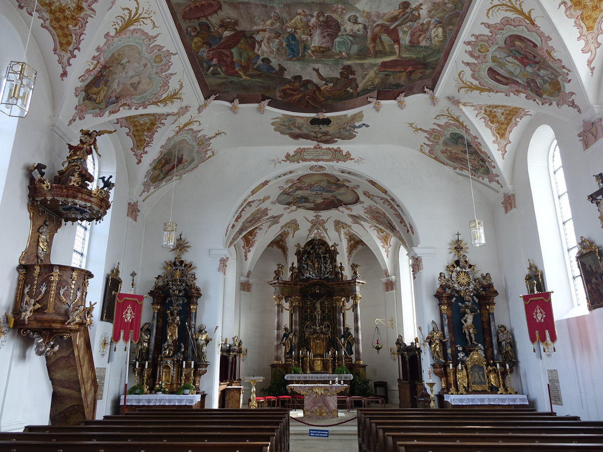 Genderkingen, Innenraum der St. Peter und Paul Kirche, erbaut 1750 (06.03.2016)