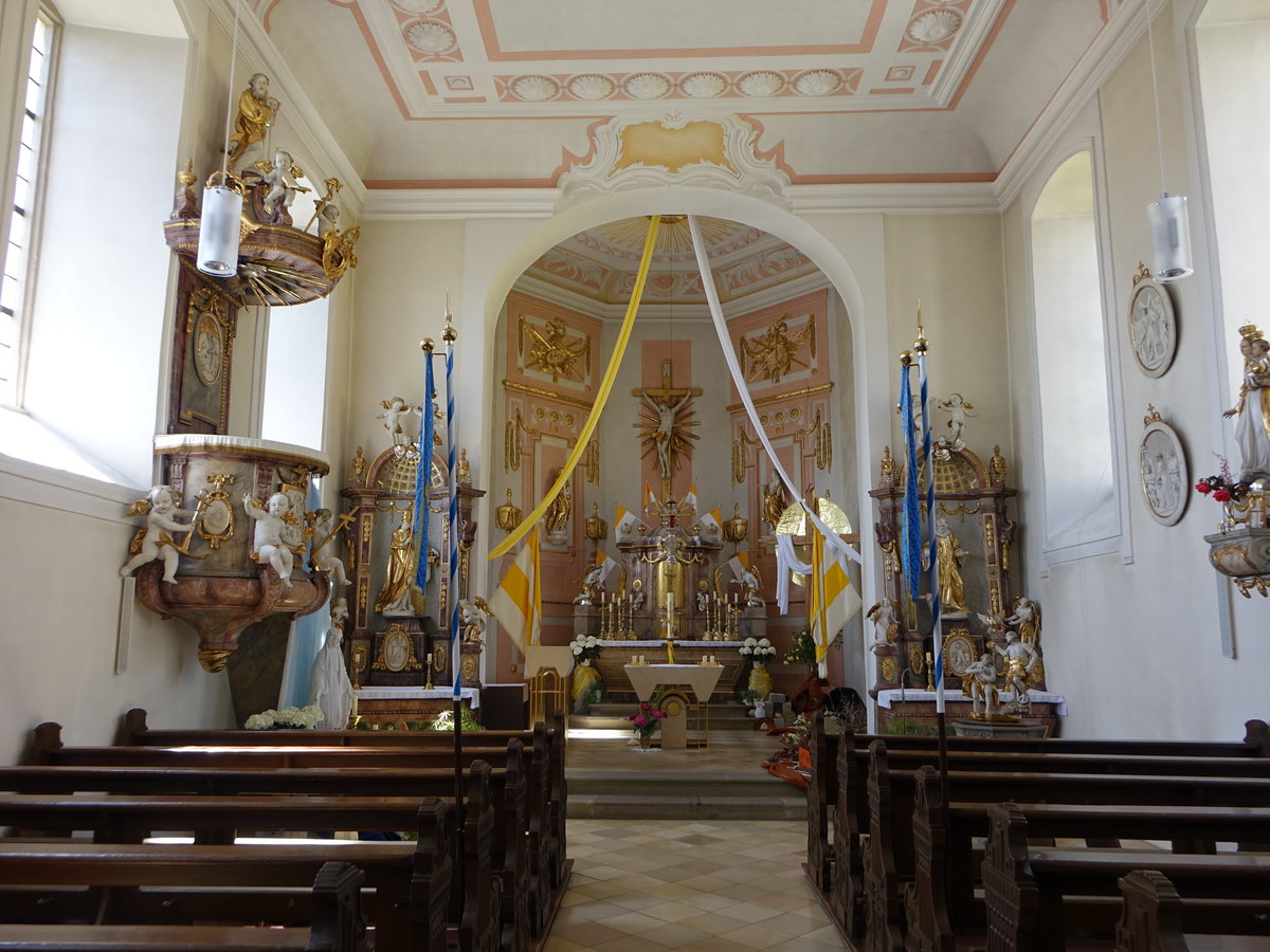 Gernach, barocker Innenraum der Pfarrkirche St. gidius, Saalbau, erbaut bis 1787 (28.05.2017)