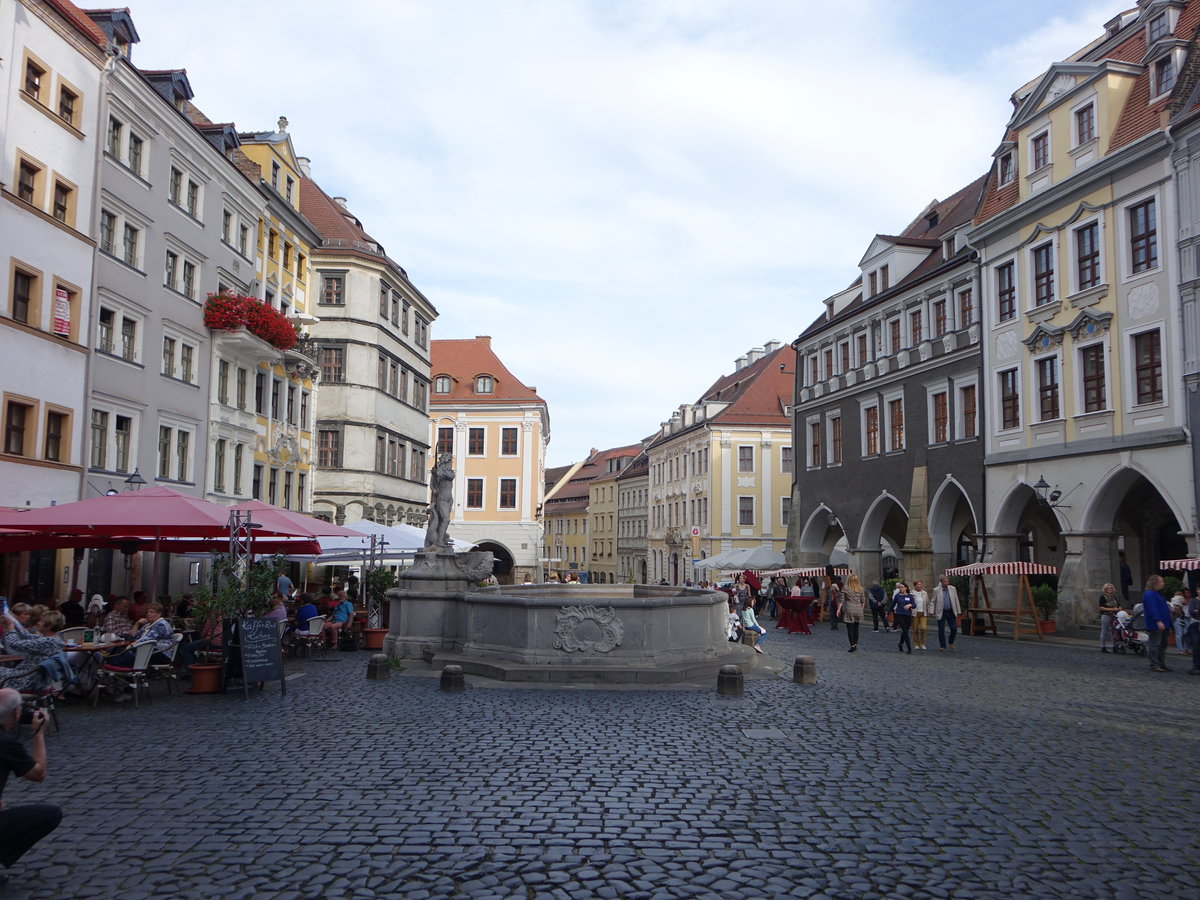 Grlitz, Brunnen und historische Gebude am Untermarkt (03.10.2020)