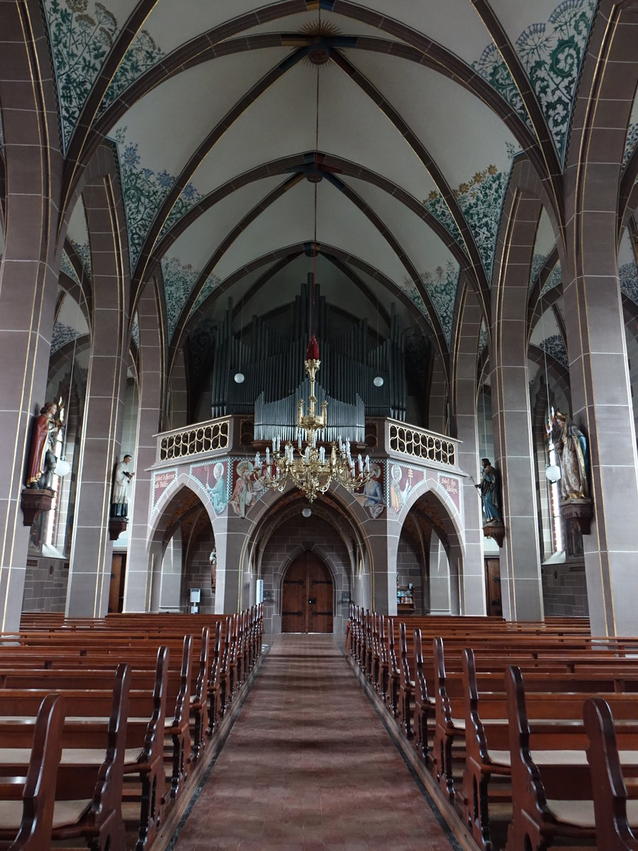 Grieen, Orgelempore in der kath. Pfarrkirche St. Peter und Paul (30.12.2018)