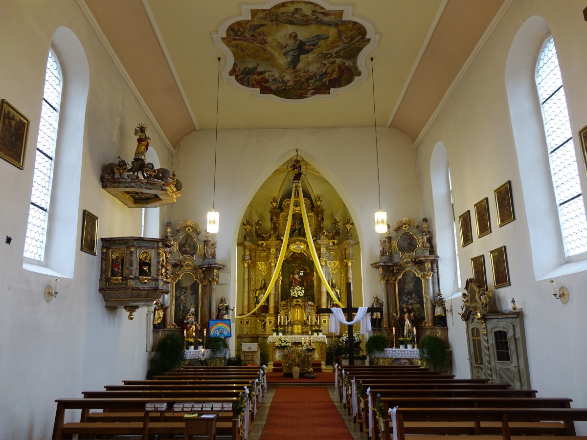 Groschnbrunn, Innenraum der Pfarrkirche St. Johannes Baptist, Hochaltar von 1780 (06.04.2015)
