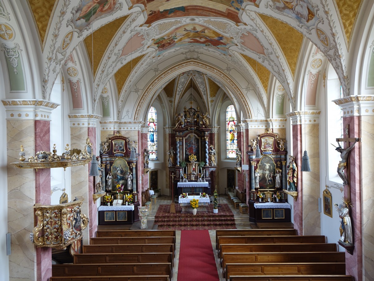 Grnthal, neubarocker Innenraum der Pfarrkirche St. Andreas (15.08.2015)