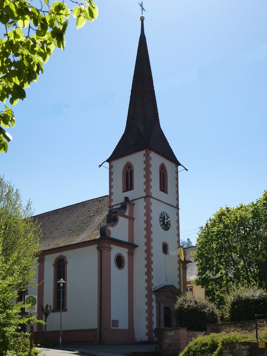Heimbach, die Kirche St.Gallus, erbaut 1774-77, Mai 2017