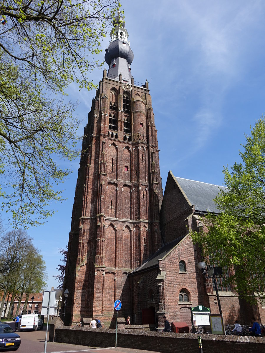 Hilvarenbeek, gotische St. Petrus Kirche, erbaut ab 1615 (06.05.2016)