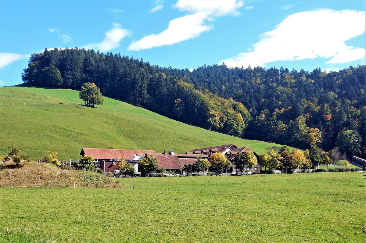 Holzhof des Benediktinerklosters Einsiedeln. Der Holzhof befindet sich fnf Gehminuten vom Kloster entfernt - 02.10.2015