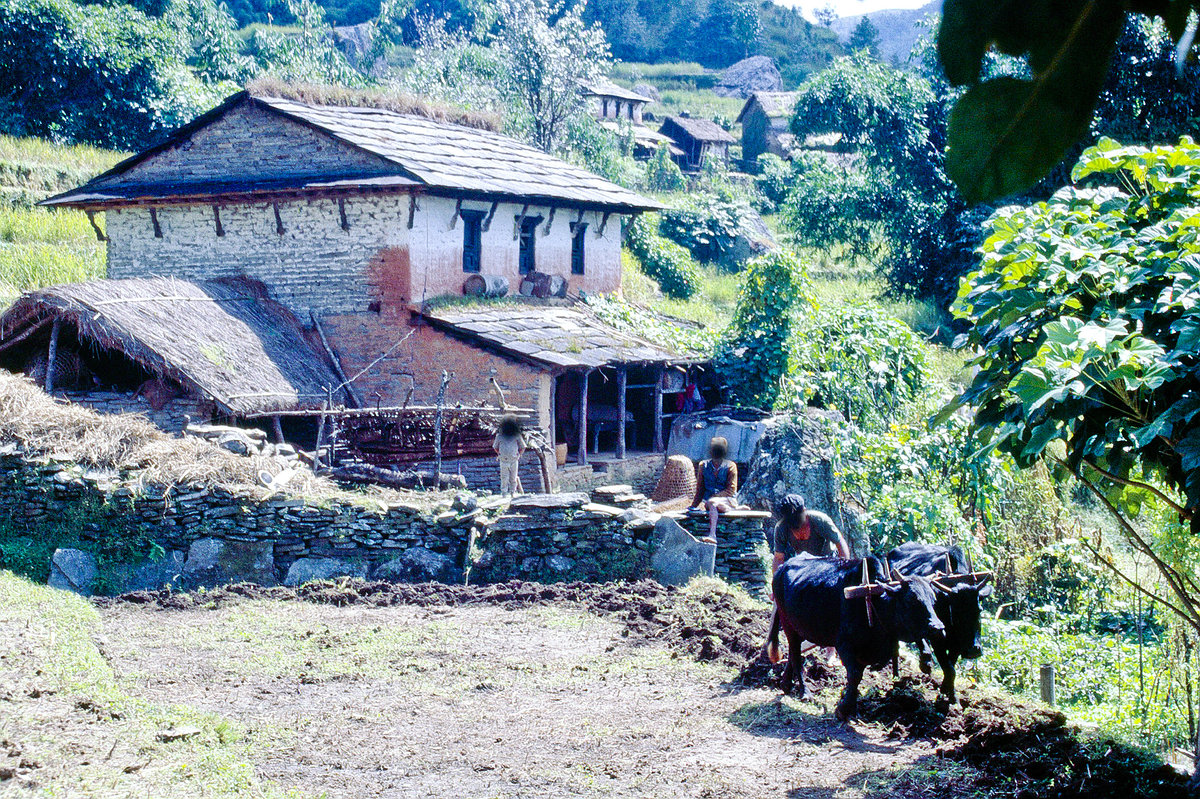Im Dorf Dhampus Phedi bei Pokhara in Zentral-Nepal. Bild vom Dia. Aufnahme: September 1988.