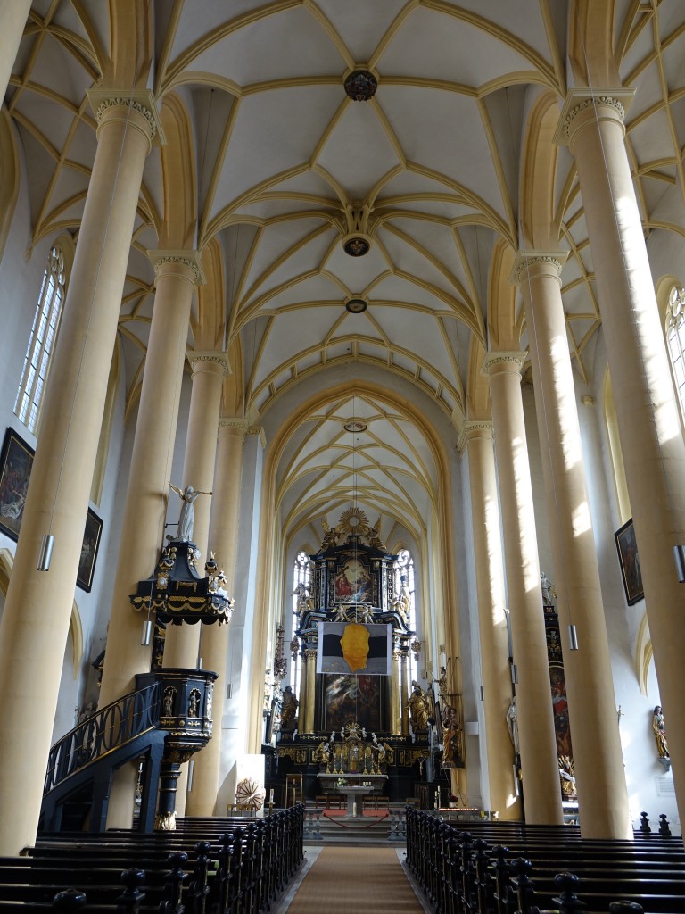 Iphofen, Mittelschiff der Stadtpfarrkirche St. Veit (08.03.2015)