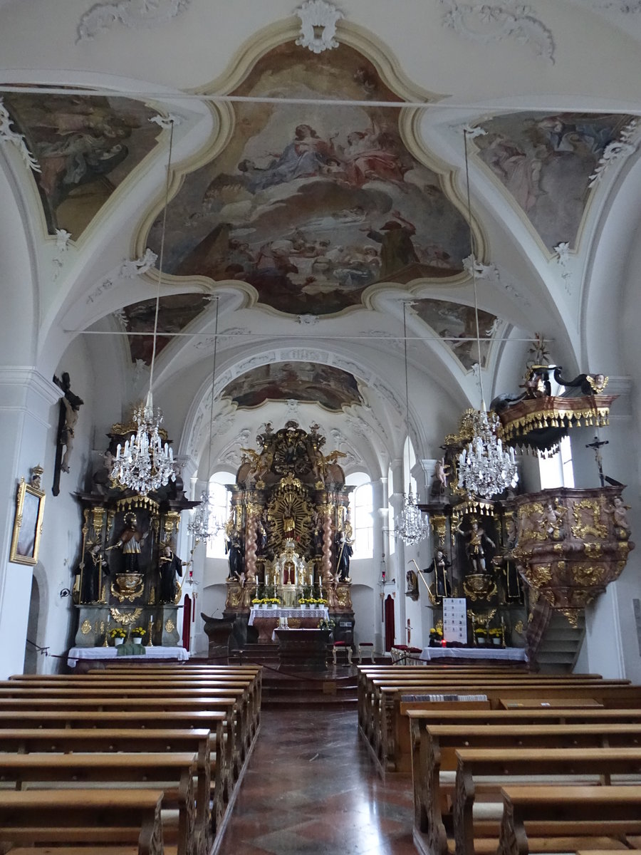 Kirchdorf im Wald, barocker Innenraum der kath. Pfarrkirche St. Maria Immaculata (05.11.2017)