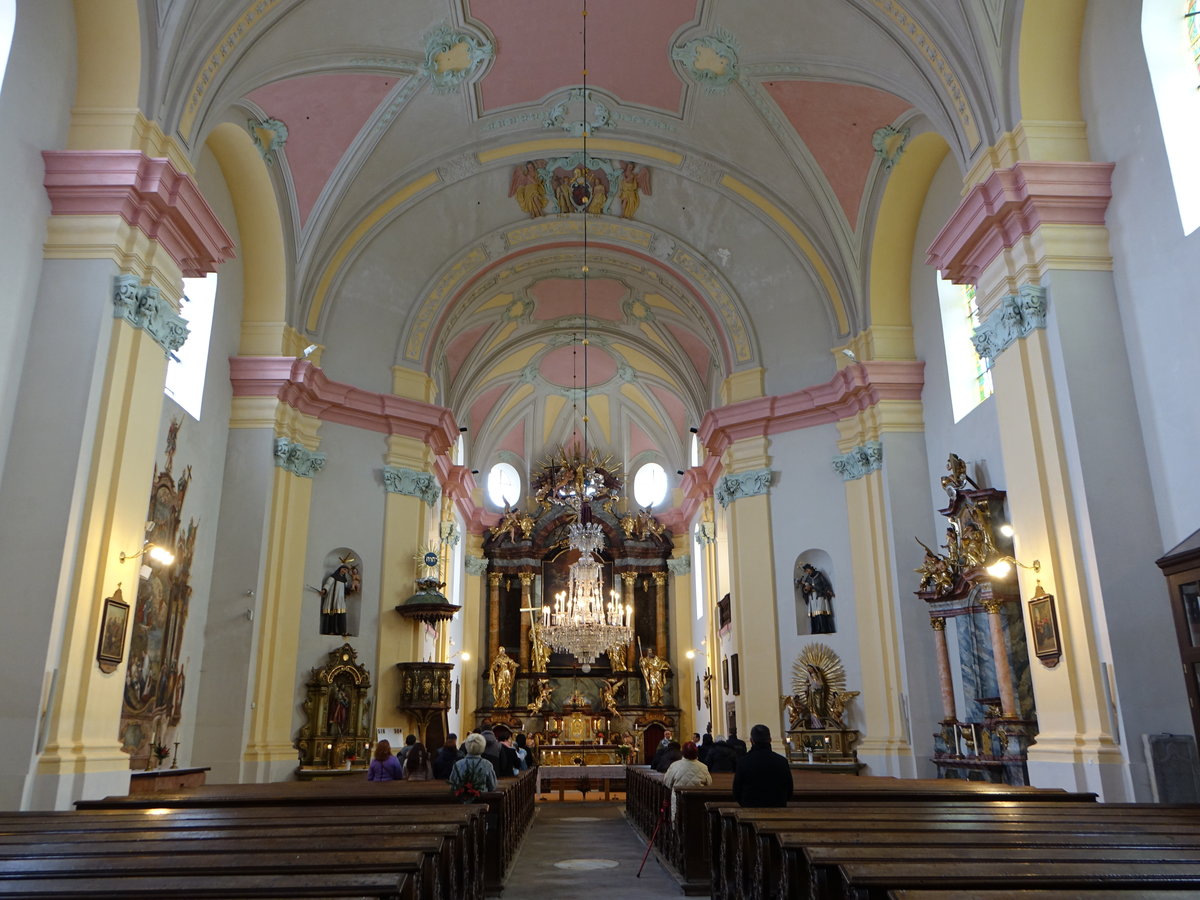 Knigsberg a. d. Eger, Innenraum der barocken Maria Himmelfahrt Kirche (19.02.2017)
