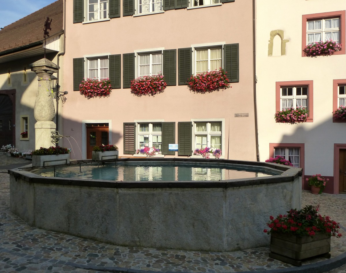 Laufenburg, historischer Brunnen in der oberen Altstadt, Juli 2015