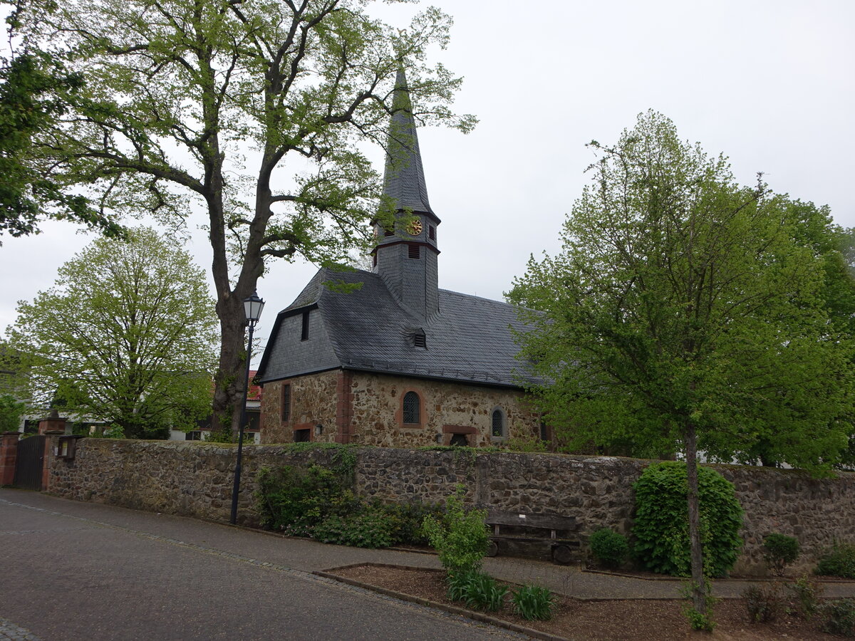 Launsbach, evangelische Kirche in der Kirchstrae, sptgotische Saalkirche, erbaut im 15. Jahrhundert, Umbau von 1617 bis 1620 (30.04.2022)