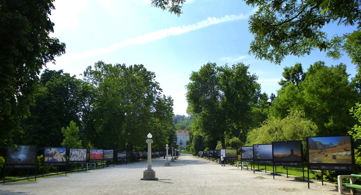 Ljubljana, diese Allee (Jakopic-Promenade) durch den Tivoli-Park fhrt zum Tivoli-Schlo, wird genutzt als Ausstellungsflche, Juni 2016 