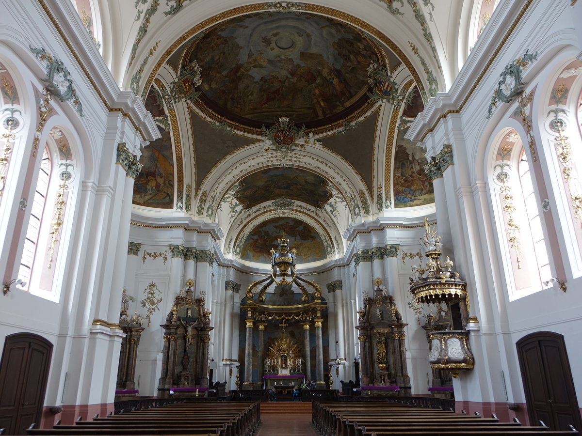 Mainz, barocker Innenraum der St. Ignaz Kirche, Deckengemlde von Johann Baptist Enderle (01.03.2020)