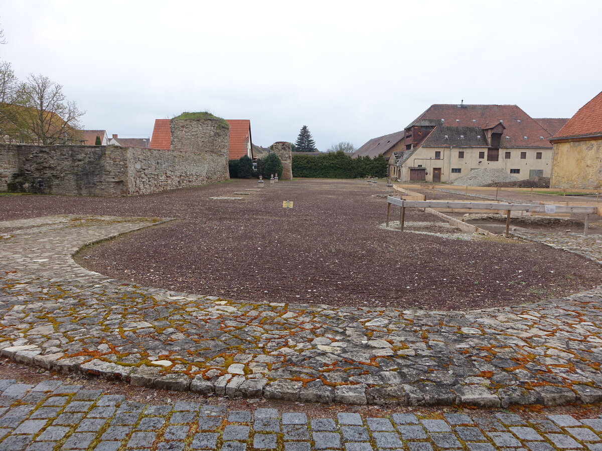 Memleben, Mauerreste der Monumentalkirche aus dem 10. Jahrhundert (08.04.2023)