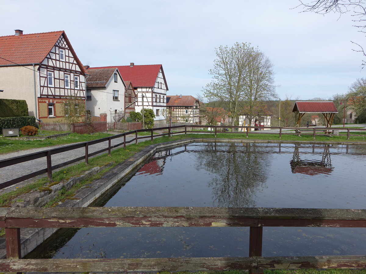 Mtzelbach, Fachwerkhuser am Dorfteich (22.04.2023)