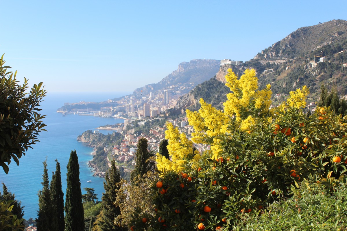 Monaco in der Ferne - diese frhlingshafte Aussicht gab es am 10. Februar 2015 von Roquebrune-Village (Roquebrune-Cap Martin, Cte d'Azur).