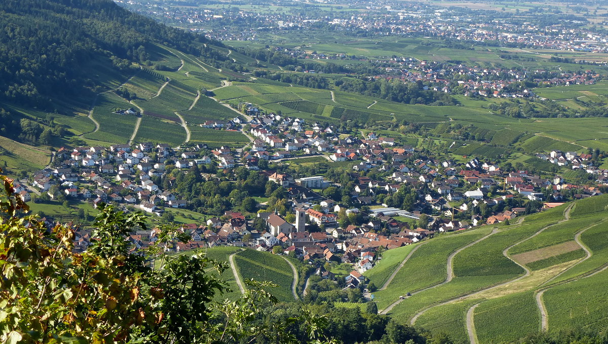 Neuweier, ein Stadtteil von Baden-Baden, Blick vom 515m hohen Yberg Richtung Sden auf den Winzerort der Reblandgemeinde, der 1297 erstmals urkundlich erwhnt wurde, Sept.2015 