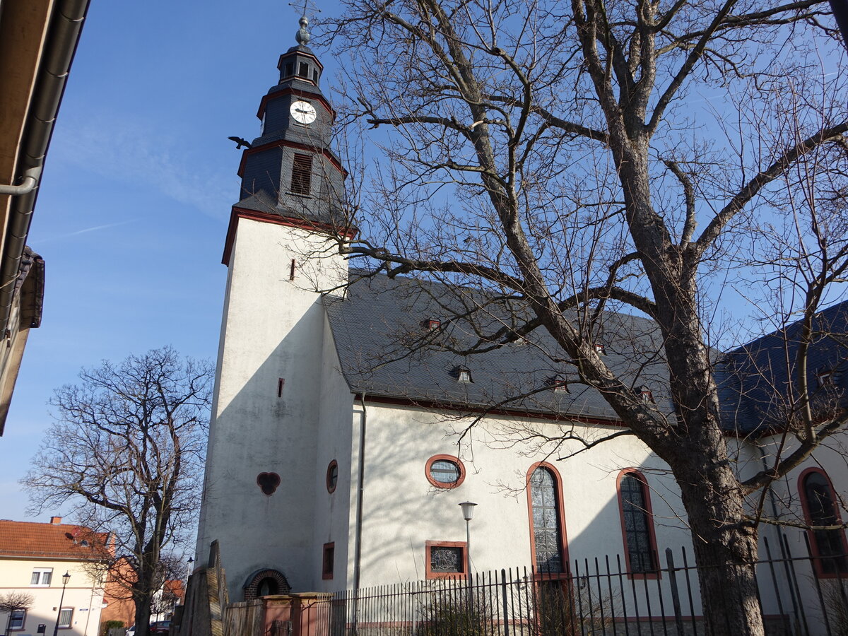 Ober-Mrlen, kath. Pfarrkirche St. Remigius, erbaut von 1716 bis 1728, 1929 Umbau zu einer kreuzfrmigen Kirche mit neuem Querschiff  (12.03.2022)