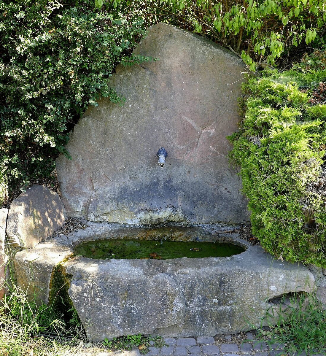 Ortenberg, Brunnen in den Weinbergen oberhalb von Schlo Ortenburg, Aug.2022