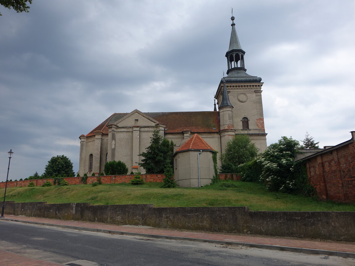 Osieczna / Storchnest, Pfarrkirche Hl. Dreifaltigkeit, erbaut 1540 (12.06.2021)